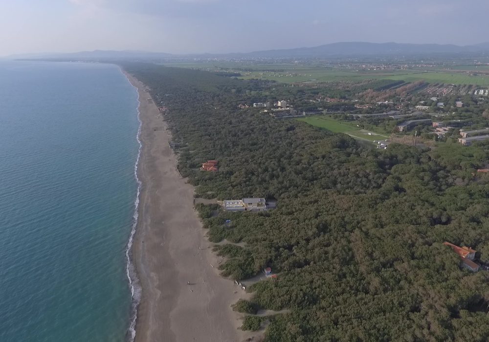 DJI_0012_Moment