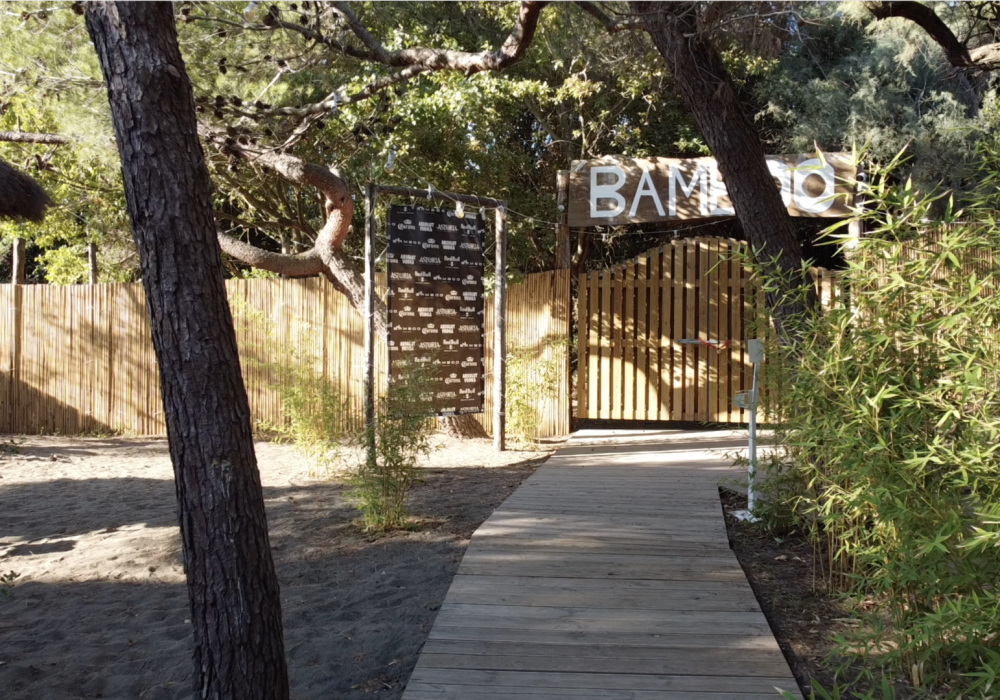 bamboo 2